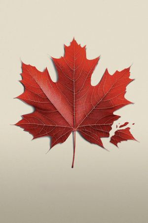 Oh, Canada's poster