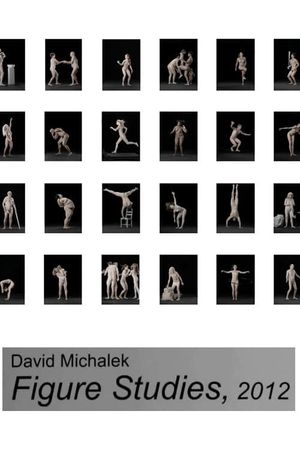 Figure Studies's poster