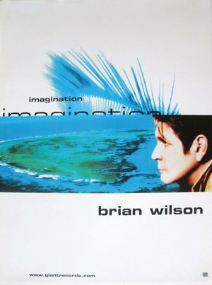 Brian Wilson’s Imagination's poster