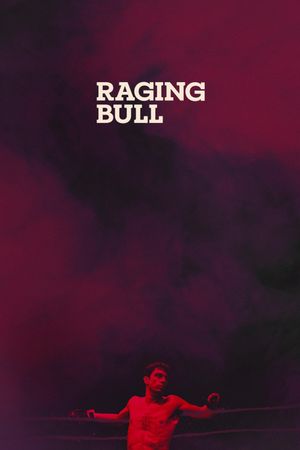 Raging Bull's poster