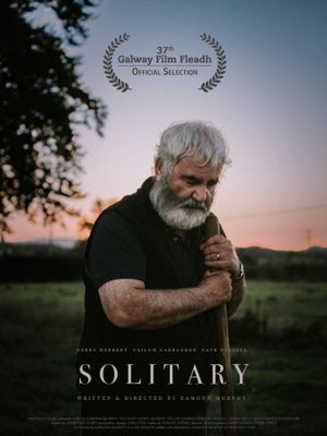 Solitary's poster