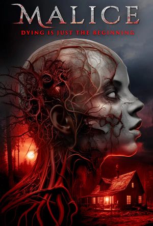 Malice's poster