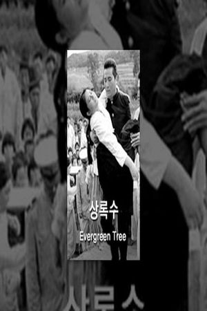 Evergreen Tree's poster