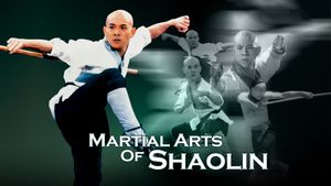 Martial Arts of Shaolin's poster