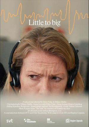 Little to Big's poster