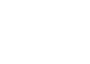 Zelyonyy furgon's poster