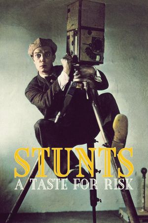 Stunts: A Taste for Risk's poster