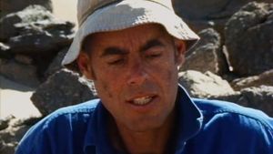 Stones and Flies: Richard Long in the Sahara's poster