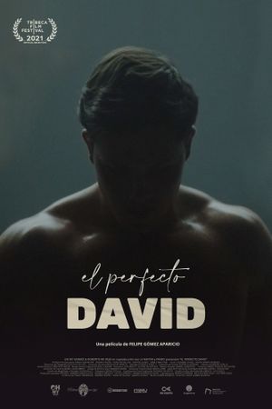 The Perfect David's poster image