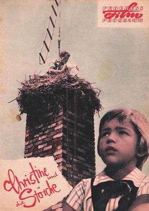 Christine and the Storks's poster