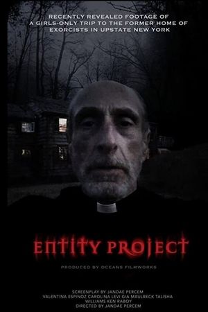 Entity Project's poster