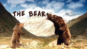 The Bear's poster