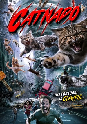 Catnado's poster