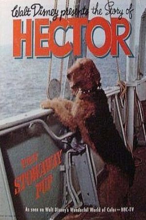 The Ballad of Hector the Stowaway Dog's poster