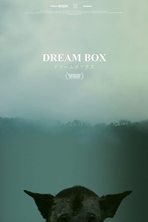 Dream Box's poster