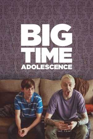 Big Time Adolescence's poster image