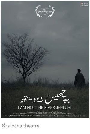 I'm Not the River Jhelum's poster image