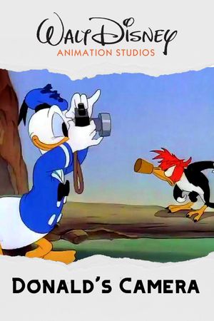 Donald's Camera's poster