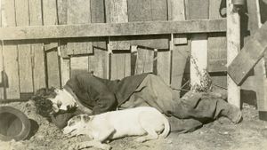 A Dog's Life's poster