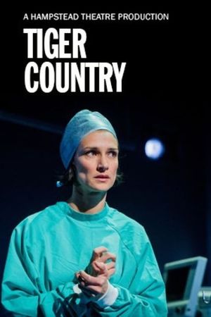 Hampstead Theatre At Home: Tiger Country's poster image