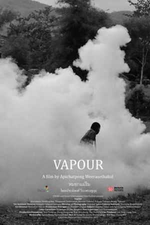 Vapour's poster
