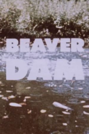 Beaver Dam's poster