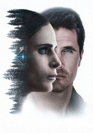 Simulant's poster