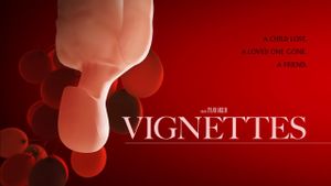 Vignettes's poster