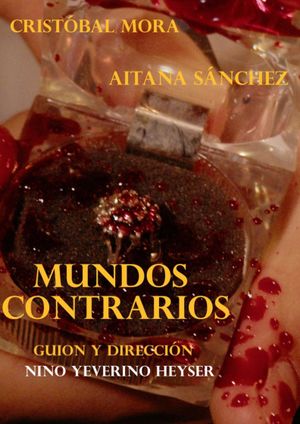 Mundos Contrarios's poster