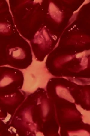 The Love of the Three Pomegranates's poster