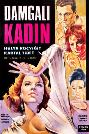 Damgali kadin's poster