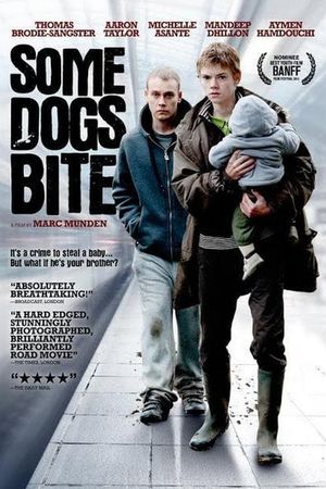 Some Dogs Bite's poster