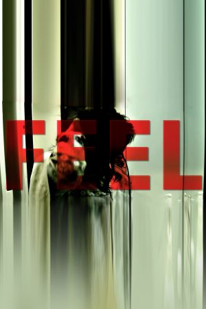 FEEL's poster