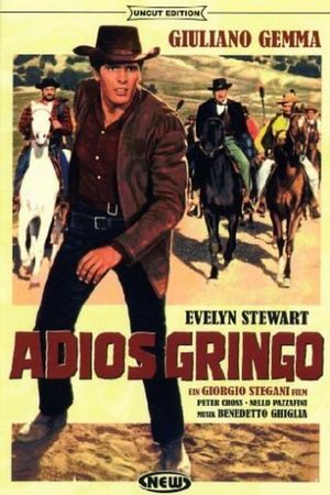 Adiós gringo's poster