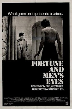 Fortune and Men's Eyes's poster