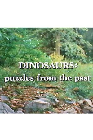 Dinosaurs: Puzzles from the Past's poster