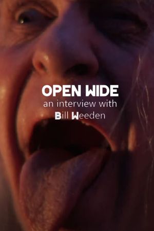 Open Wide's poster