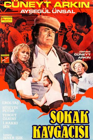 Sokak Kavgacisi's poster