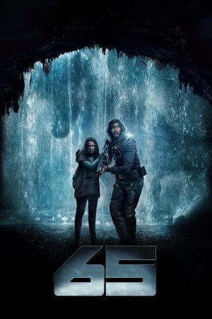 65's poster