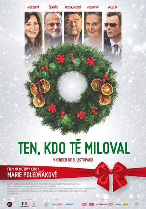 The One Who Loved You's poster