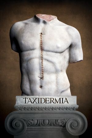 Taxidermia's poster