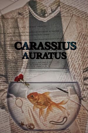 Carassius Auratus's poster