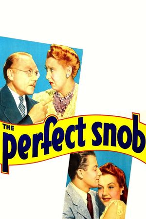 The Perfect Snob's poster image