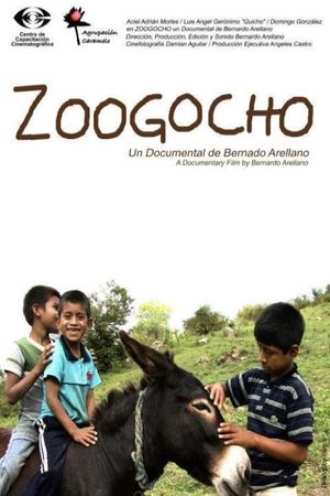 Zoogocho's poster