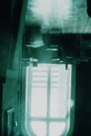 Variant's poster