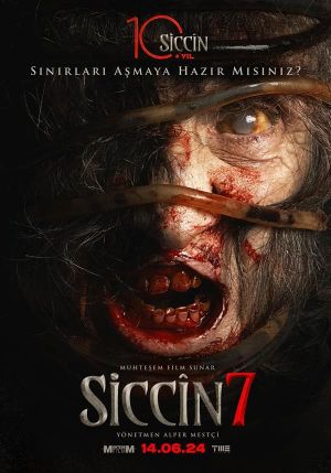 Siccin 7's poster image