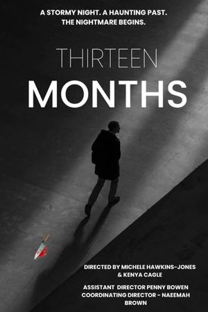 Thirteen Months's poster image