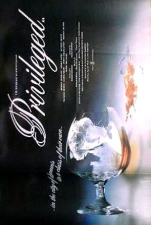 Privileged's poster