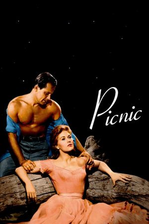 Picnic's poster