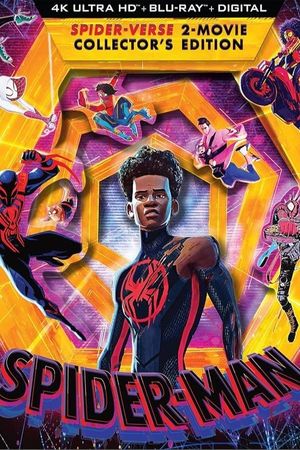 Spider-Man: Across the Spider-Verse's poster